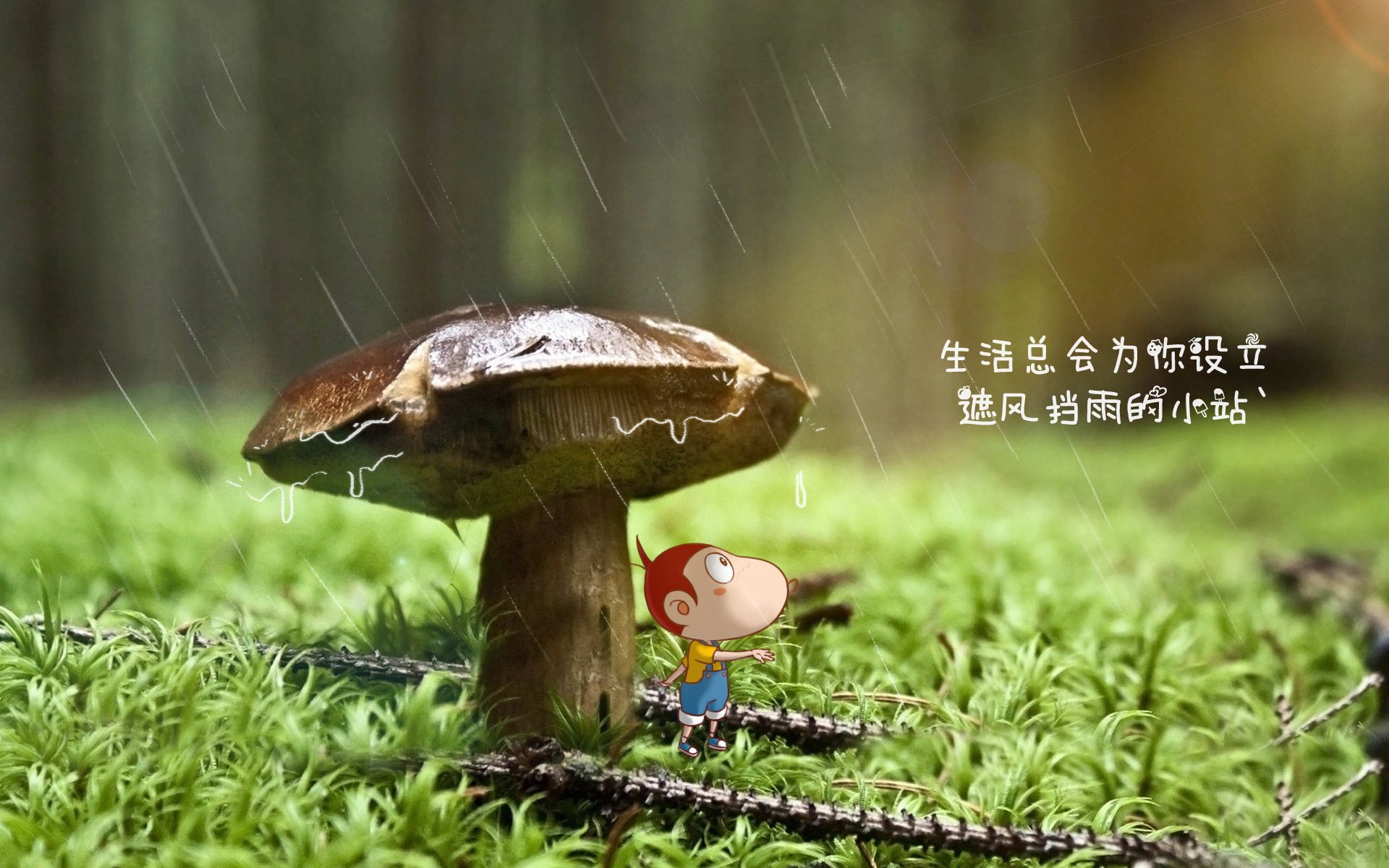 爱游戏娱乐平台-未来十年的全新规划：联盟战略布局提前预告，联盟_未来之战