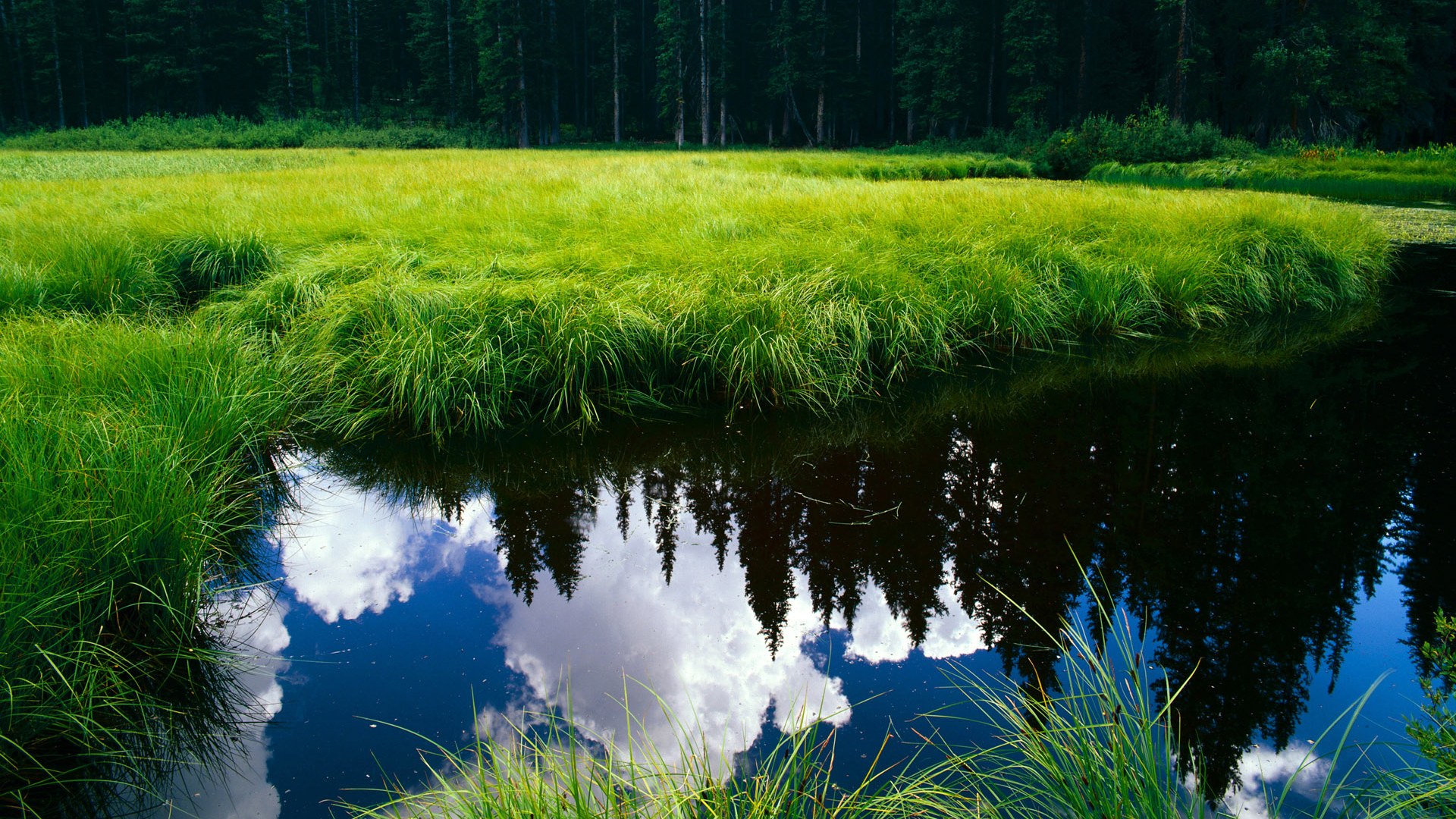 毕尔巴鄂竞技客场1-2不敌马洛卡,遗憾落败,毕尔巴鄂对马略卡比分预测