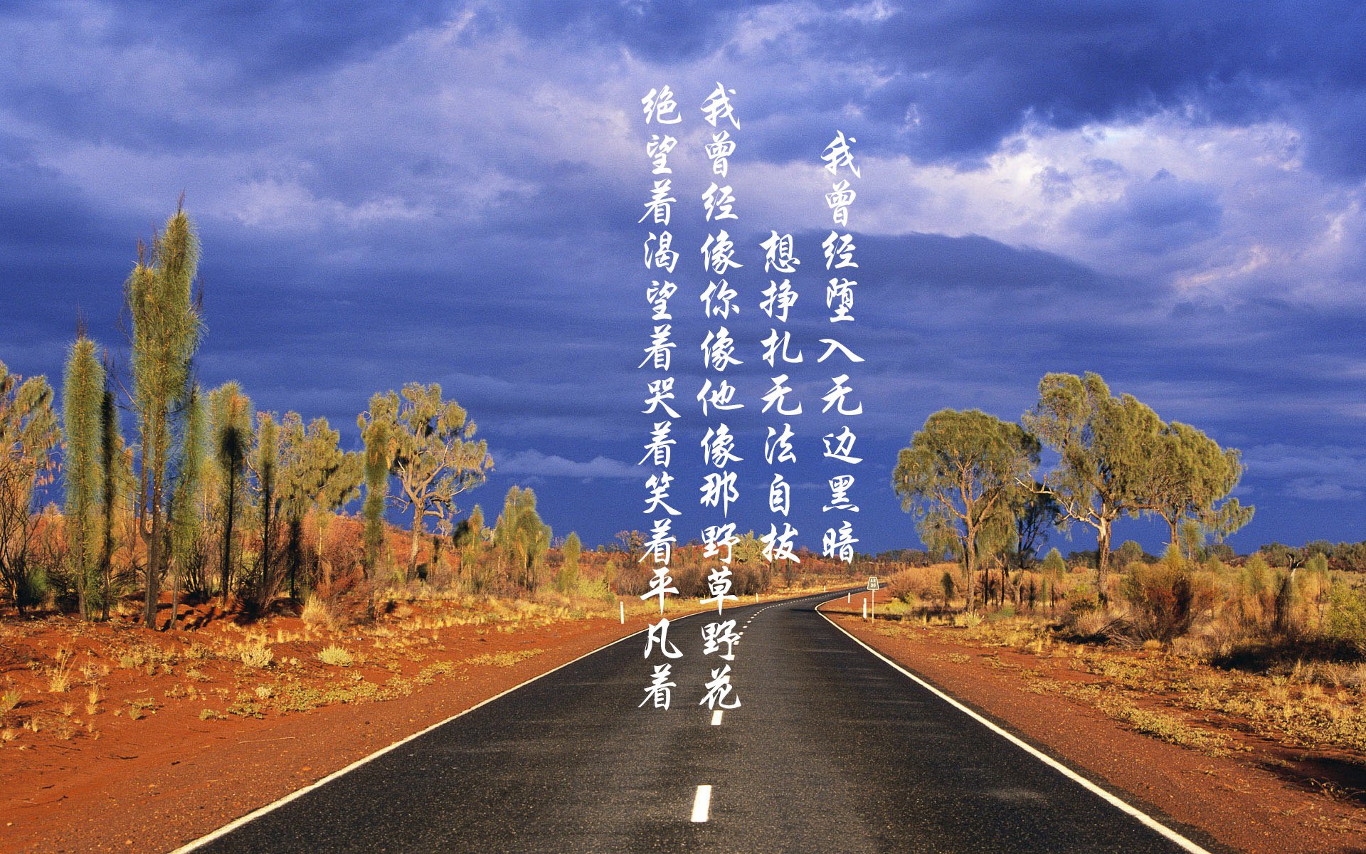 埃及队未来:推动技术革新和战术进步,埃及队前锋