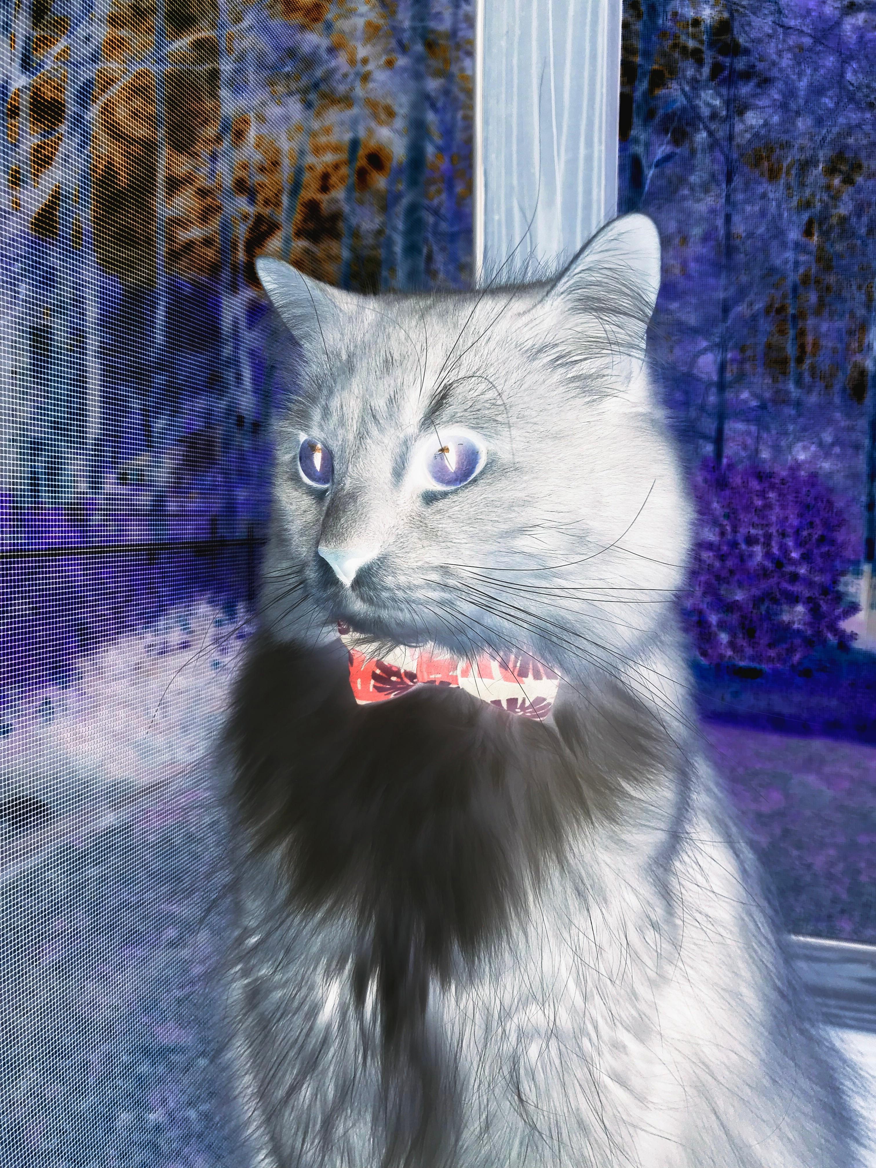 C罗与昔日恩师赛场重逢热泪盈眶,c罗与球迷