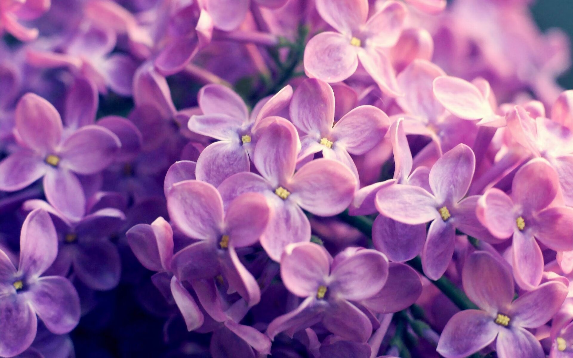 随机世界杯激情瞬间：逆转战局的戏剧场景，世界杯激战正酣,我们都知道