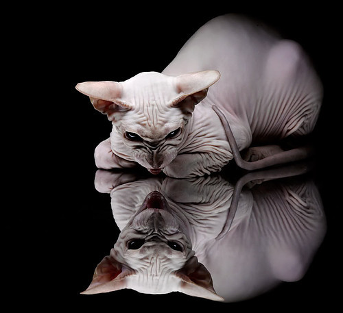 拉文表示公牛要从防守端找回状态,拉文续约公牛