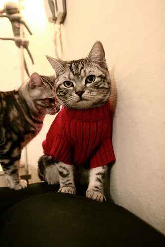 随机瑞·弗兰：全黑队的“节奏控制者”，无论是进攻还是防守，他都能主导比赛的节奏